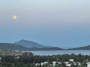 Aegean Coast